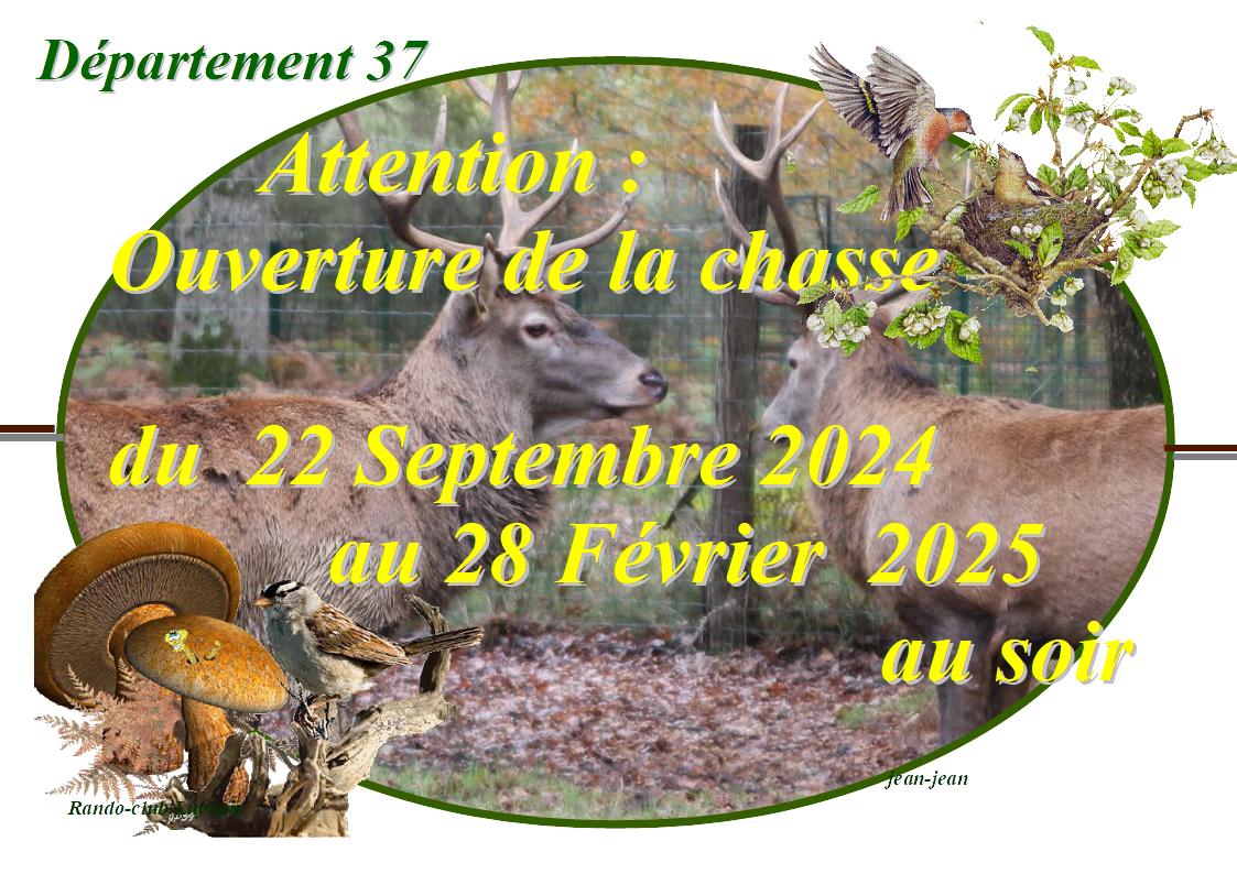 ouverture de la chasse 2024/2025