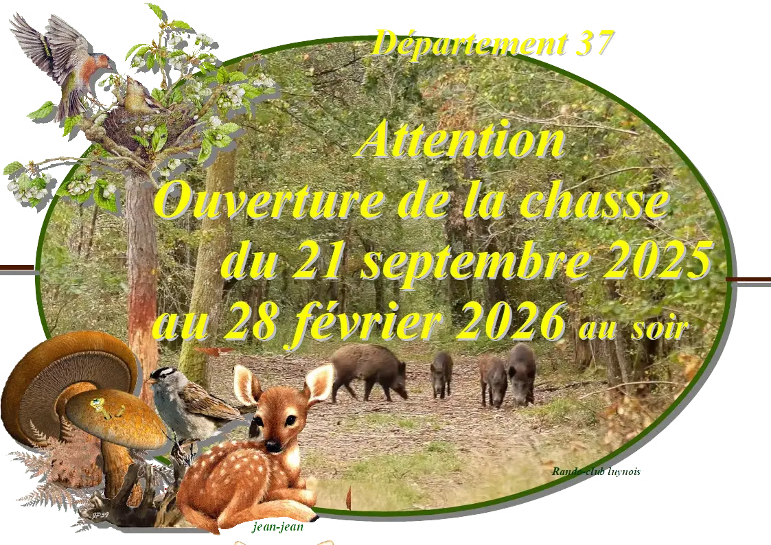ouverture de la chasse 2025/2026